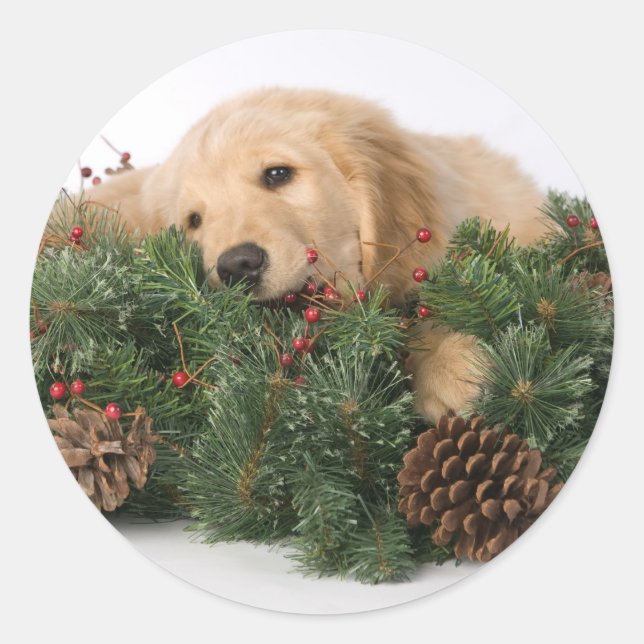 Cute Christmas Dog Stickers (Front)