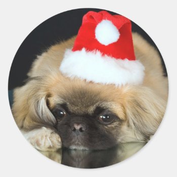 Cute Christmas Dog Stickers by DoggieAvenue at Zazzle