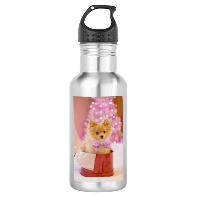 Cute Christmas Dog with Pink Bow Photo Stainless Steel Water Bottle (Front)