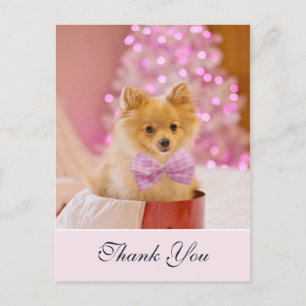 Cute Christmas Dog with Pink Bow Photo Thank You Postcard