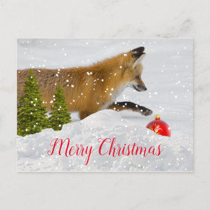 Cute Christmas Fox and Red Ornament Postcard
