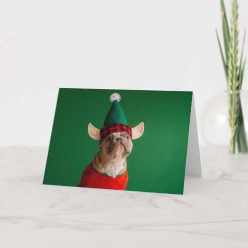 Cute Christmas French Bulldog Elf Holiday Card