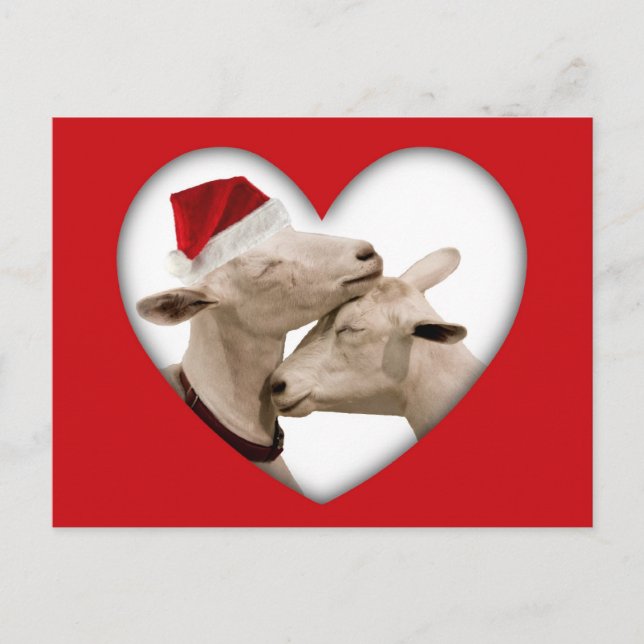 Cute Christmas Goat Couple Holiday Postcard (Front)