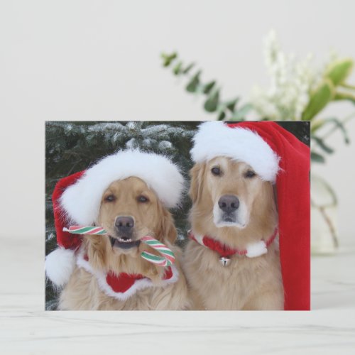 Cute Christmas Golden Retrievers flat card