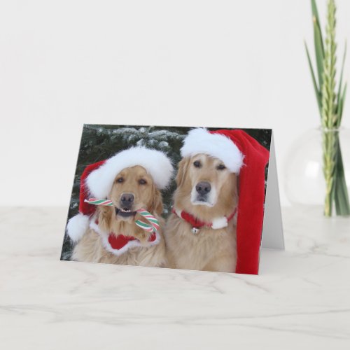 Cute Christmas Golden Retrievers Holiday Card