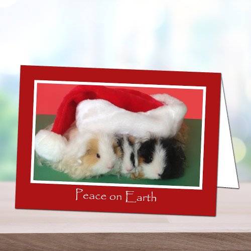 Cute Christmas Guinea Pig Card