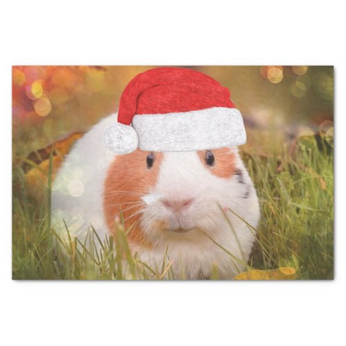 cute christmas guinea pig tissue paper