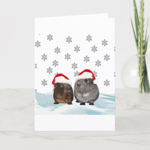 Cute Christmas Guinea pigs in Santa Hats Holiday Card