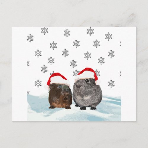 Cute Christmas Guinea pigs in Santa Hats Holiday Postcard