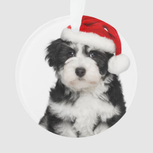 Cute Christmas Havanese Puppy Dog 2 Ornament