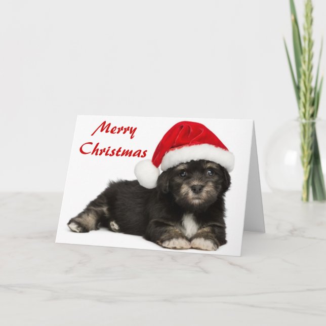 Cute Christmas Havanese Puppy Dog Holiday Card (Front)