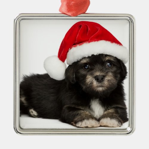 Cute Christmas Havanese Puppy Dog Metal Ornament