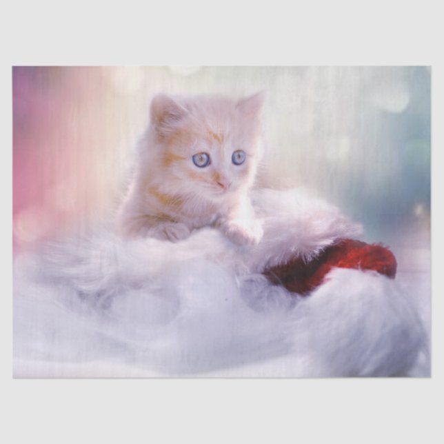 Cute Christmas Kitten Photo Tissue Paper (Front)