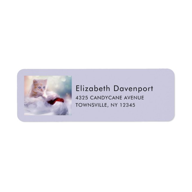 Cute Christmas Kitten Photograph Label (Front)