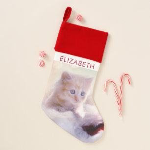 Cute Christmas Kitten Photograph Stocking