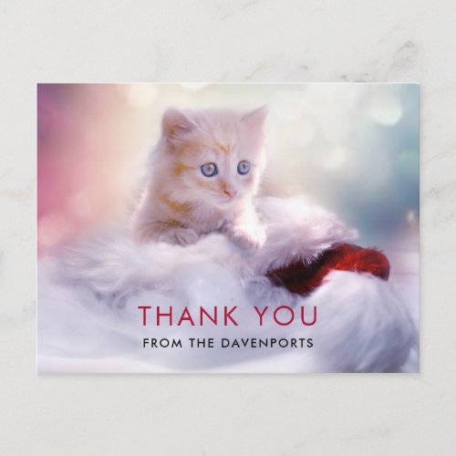 Cute Christmas Kitten Thank You Postcard