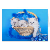 Cute Christmas Kittens (Front Horizontal)