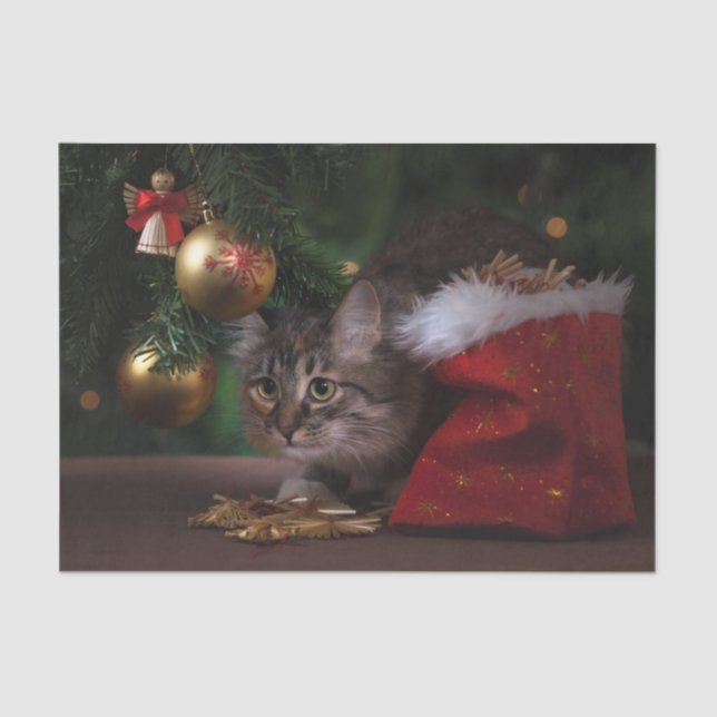 Cute Christmas Kitty Cat Tissue Paper (Front)