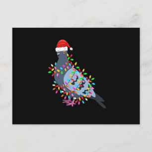 Cute Christmas Lights Pigeon Wearing Xmas Hat - Pi Holiday Postcard