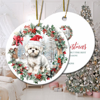 Cute Christmas maltese dog puppy Santa hat