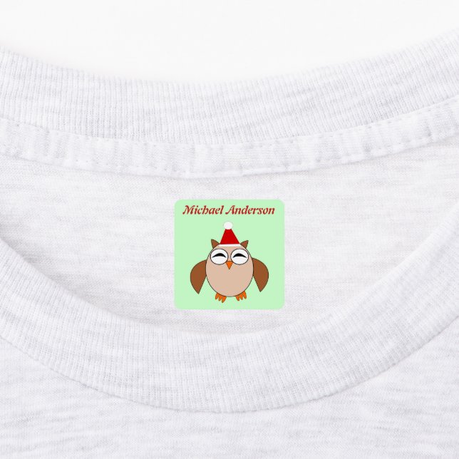 Cute Christmas Owl Custom Labels (Affixed)
