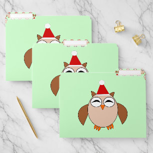 Cute Christmas Owl File Folder