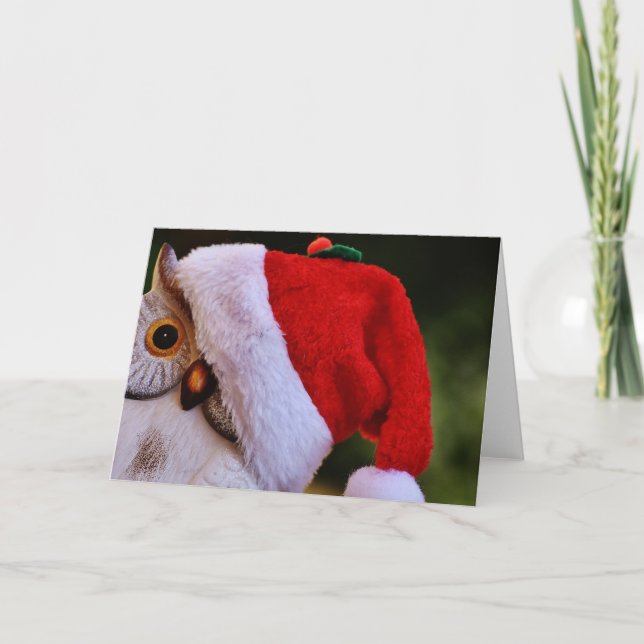 Cute Christmas Owl,Merry Christmas Santa Owl Holiday Card (Front)