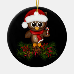 Cute Christmas Owl On Pine Branch Ornament