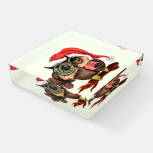 Cute Christmas Owl Paperweight