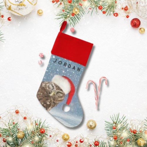Cute Christmas Owl with Red Santa Hat Snowflakes  Christmas Stocking