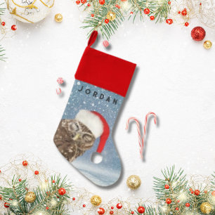Cute Christmas Owl with Red Santa Hat Snowflakes Stocking