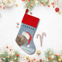 Cute Christmas Owl with Red Santa Hat Snowflakes