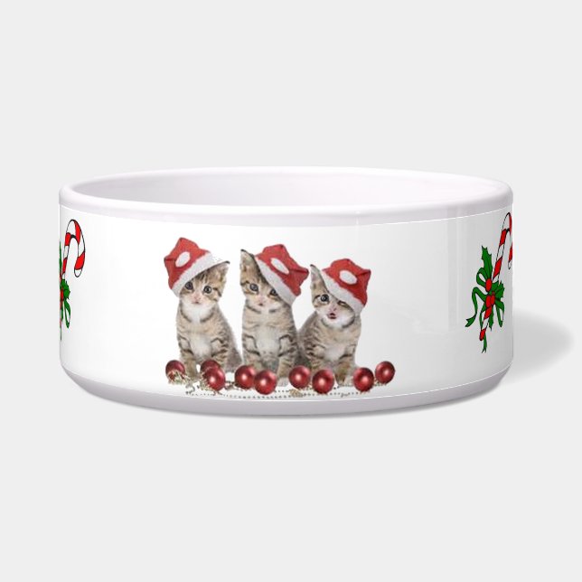 Cute Christmas Pet Bowl, Pet Cat Food Bowl (Front)