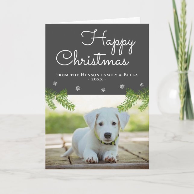 Cute Christmas Pine Branches Snowflake Dog Photo Card (Front)
