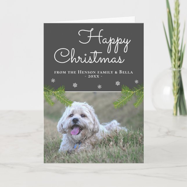 Cute Christmas Pine Branches Snowflake Dog Photo Card (Front)