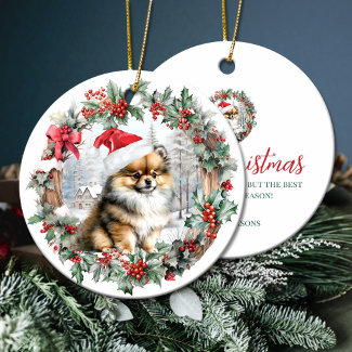 Cute Christmas pomeranian dog puppy Santa hat