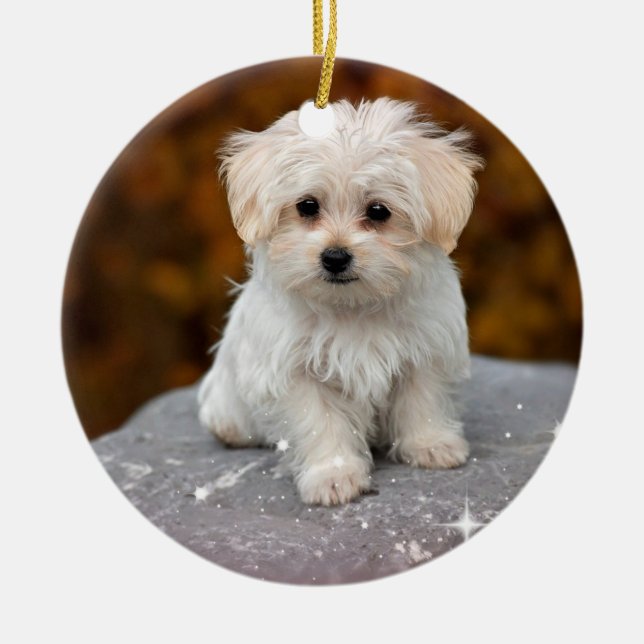 Cute Christmas Puppy Ornament (Front)
