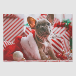 Cute Christmas Puppy Presents Tissue Paper