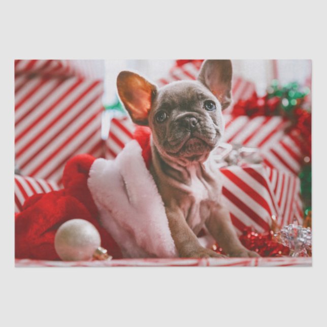 Cute Christmas Puppy Presents Tissue Paper (Front)