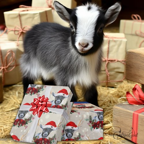 Cute Christmas Pygmy Kid Goat Poinsettia Wreath Wrapping Paper