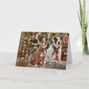 Cute Christmas Rescue Pitbull and America Bull Dog Holiday Card