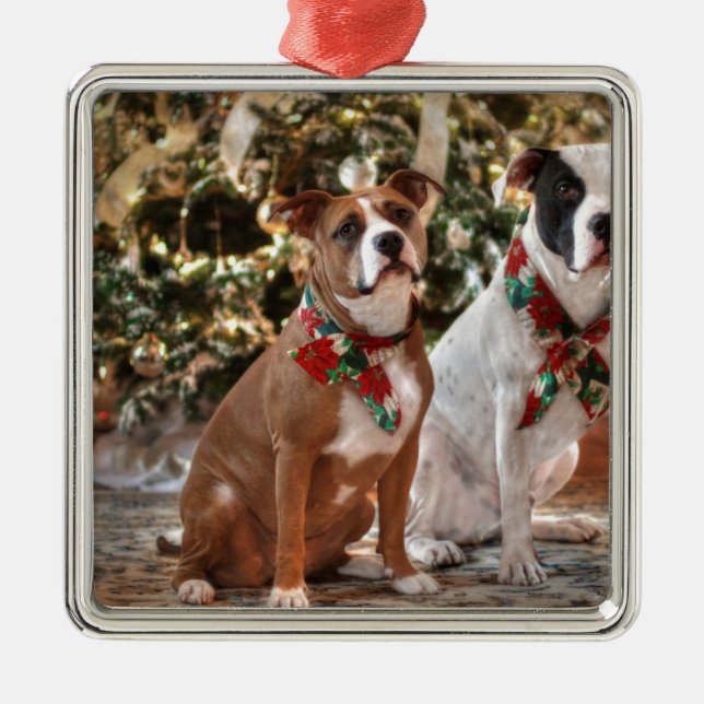 Cute Christmas Rescue Pitbull and America Bull Dog Metal Ornament (Front)