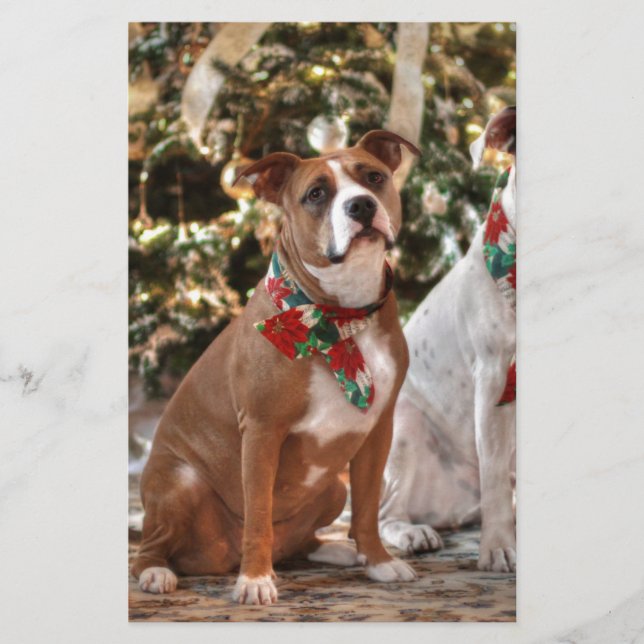Cute Christmas Rescue Pitbull and America Bull Dog Stationery (Front)
