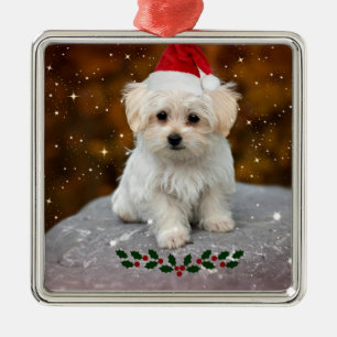 Cute Christmas Santa Claus Maltese Puppy Metal Ornament