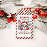 Cute Christmas Special Delivery From Santa Gift Tags<br><div class="desc">Christmas Special Delivery From Santa</div>