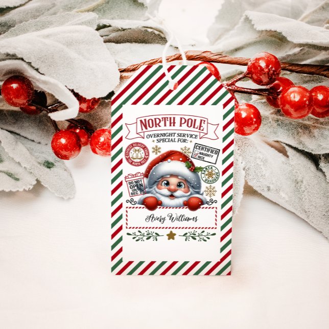 Cute Christmas Special Delivery From Santa Gift Tags (Creator Uploaded)