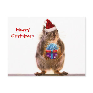 Cute Christmas Squirrel and Gift Holiday Postcard