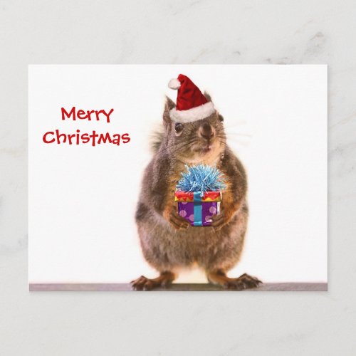 Cute Christmas Squirrel and Gift Holiday Postcard