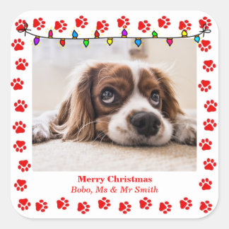 Cute Christmas Stickers with Custom Picture & paws