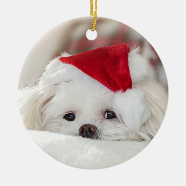 Cute Christmas White Maltese Puppy Dog Ceramic Ornament (Front)